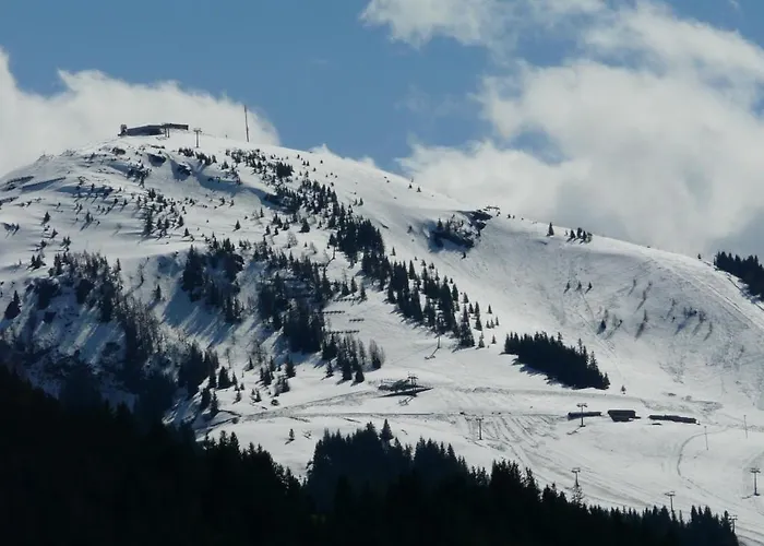 胡伯公寓酒店 *